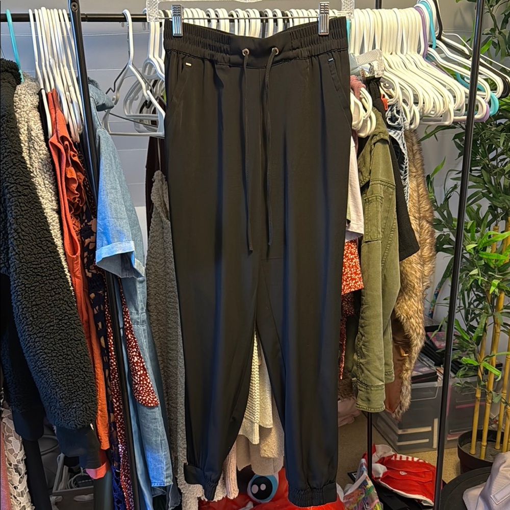 Dress pants